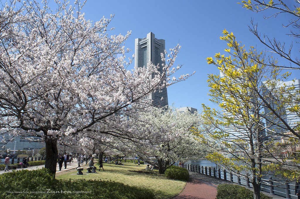 🚶 키샤미치 산책로 이미지 8